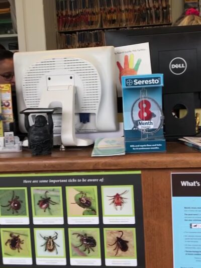 Dobbs Ferry Animal Hospital - Dobbs Ferry, NY