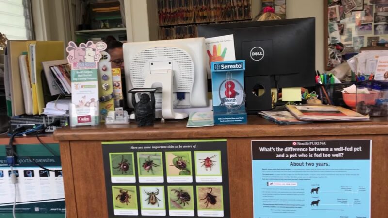 Dobbs Ferry Animal Hospital - Dobbs Ferry, NY