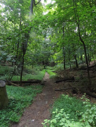 Juhring Nature Preserve - Dobbs Ferry, NY