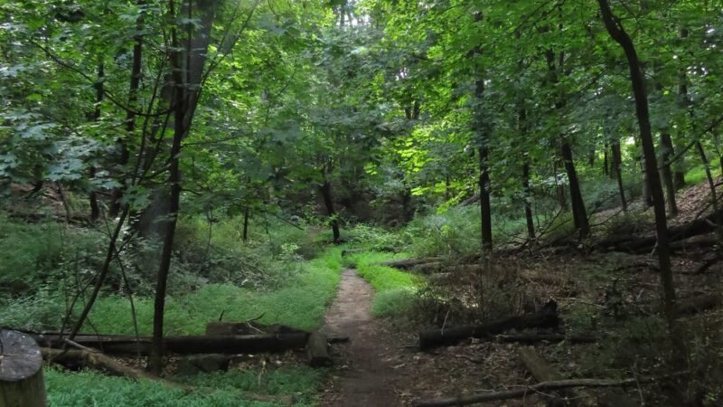 Juhring Nature Preserve - Dobbs Ferry, NY