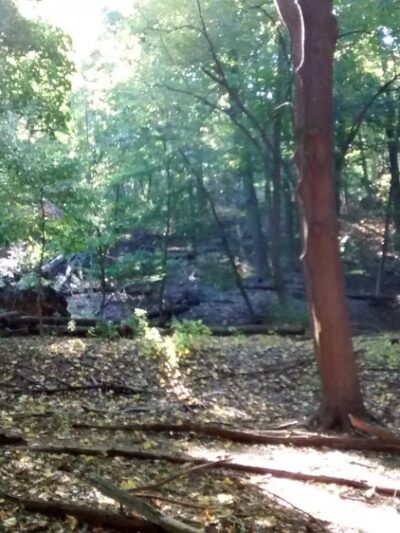 Juhring Nature Preserve - Dobbs Ferry, NY