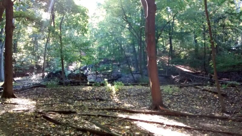 Juhring Nature Preserve - Dobbs Ferry, NY