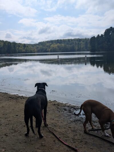 Governor Dodge Pet Swim Area - Dodgeville, WI