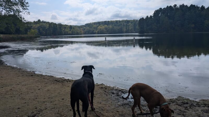 Governor Dodge Pet Swim Area - Dodgeville, WI
