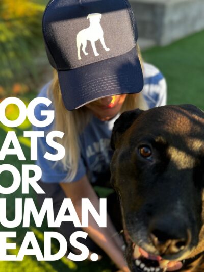 Dog Park Ltd. - ,