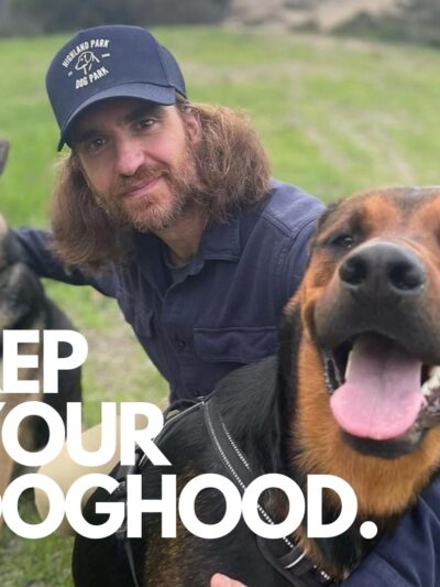 Dog Park Ltd. - ,
