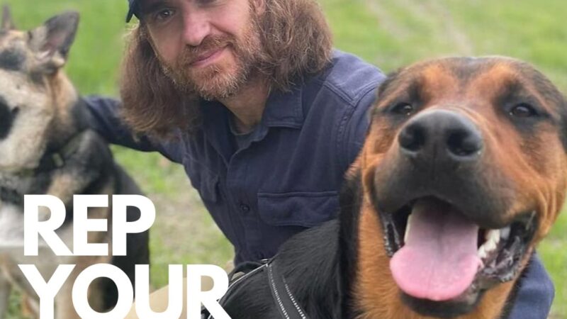 Dog Park Ltd. - ,
