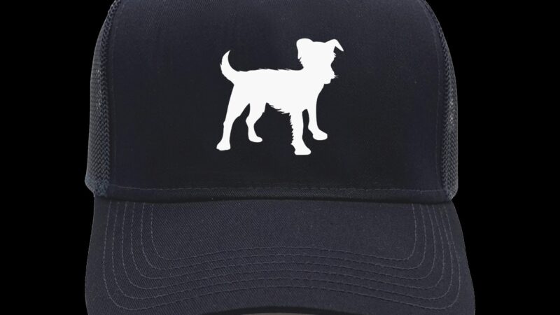 Dog Park Ltd. - ,