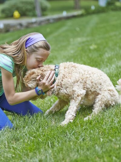 DogWatch of Southern Kentucky - ,