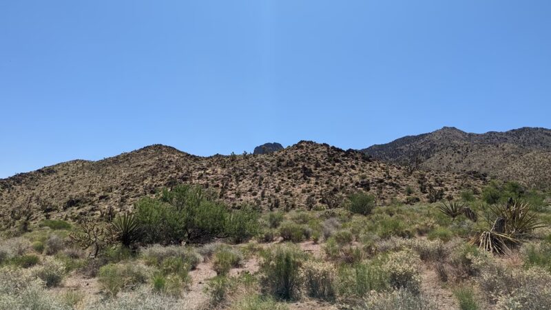 Dolan Springs Trail/Mt. Tipton Wilderness - Dolan Springs, AZ