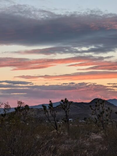 Dolan Springs Trail/Mt. Tipton Wilderness - Dolan Springs, AZ