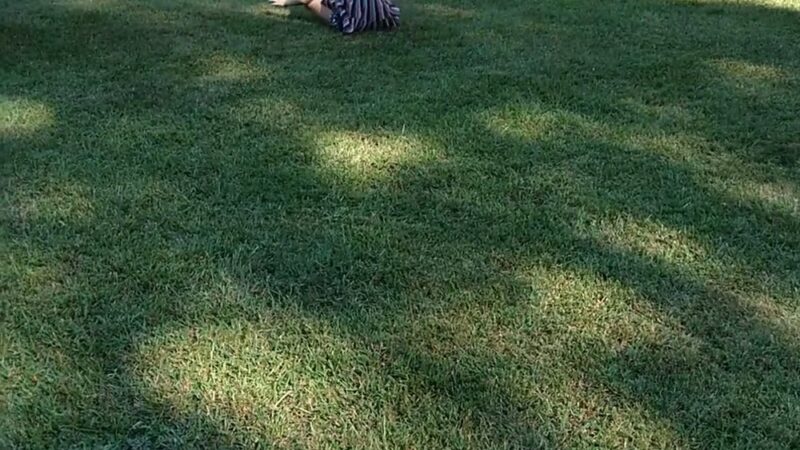 Dora Park - Dora, AL