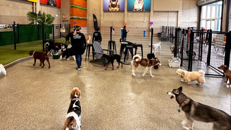 Bark Square - Doral, FL