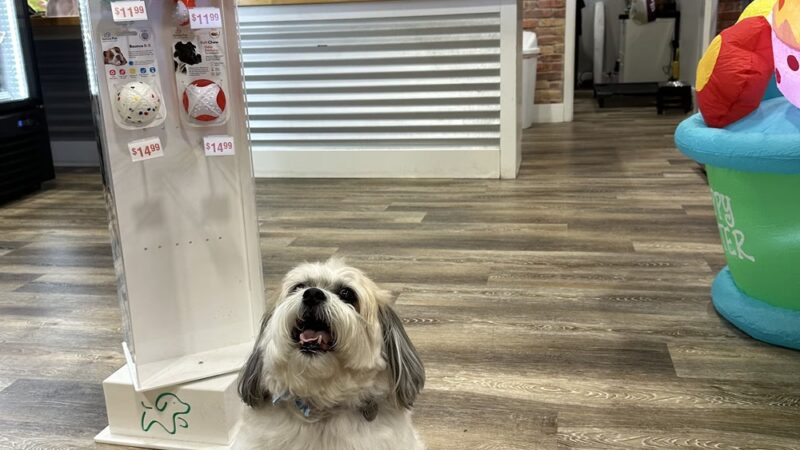 Bark Square - Doral, FL