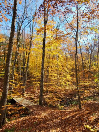 Green Woodlands Foundation - Dorchester, NH