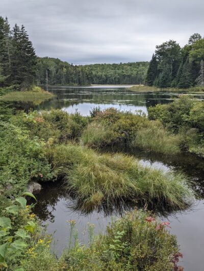 Green Woodlands Foundation - Dorchester, NH