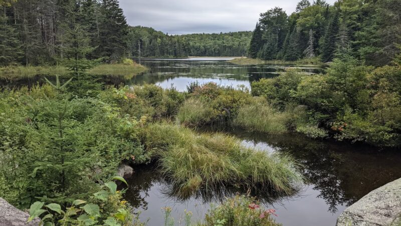 Green Woodlands Foundation - Dorchester, NH
