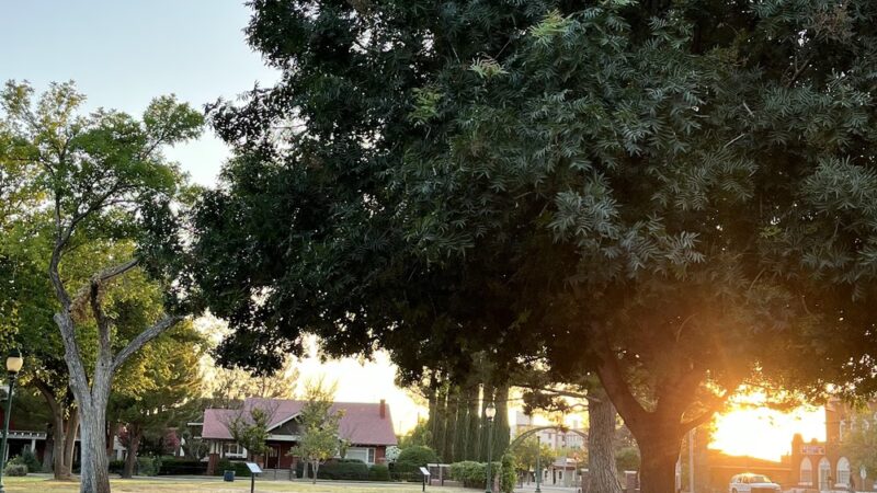 Castro Park - Douglas, AZ