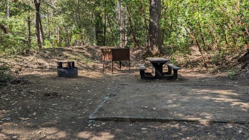 Douglas City Campground - Douglas City, CA