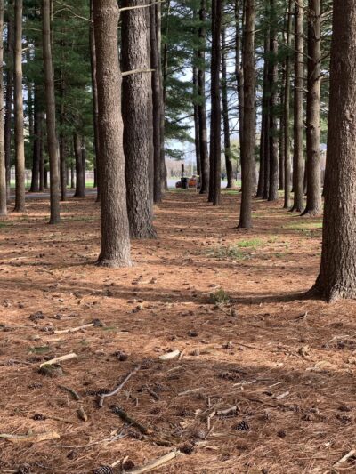 Dover park - Dover, DE