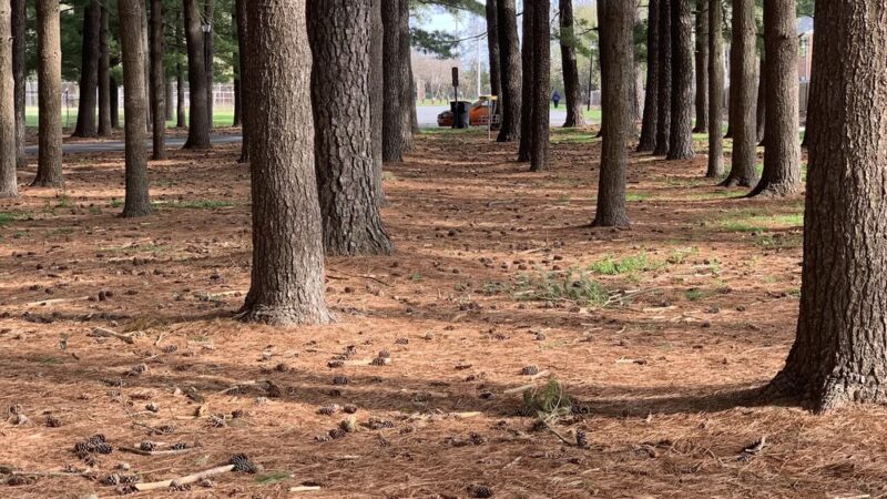 Dover park - Dover, DE