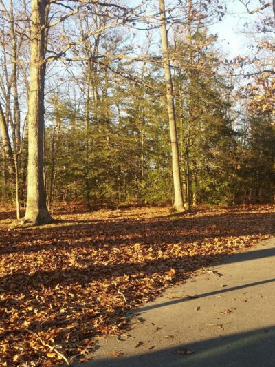 Dover park - Dover, DE