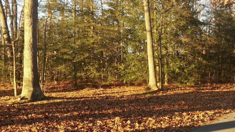 Dover park - Dover, DE