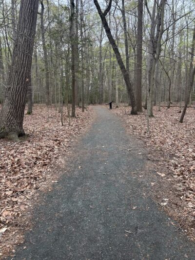 Fork Branch Nature Preserve - Dover, DE