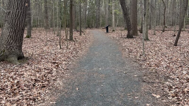 Fork Branch Nature Preserve - Dover, DE