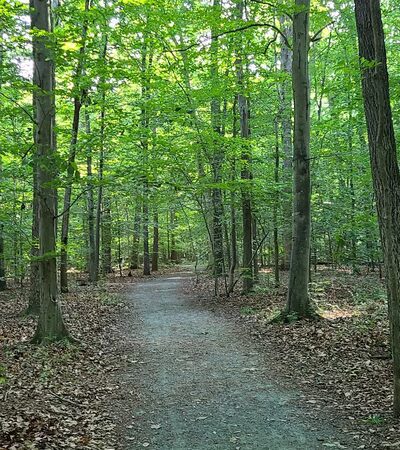 Fork Branch Nature Preserve - Dover, DE
