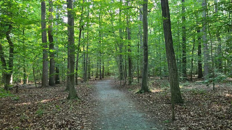 Fork Branch Nature Preserve - Dover, DE