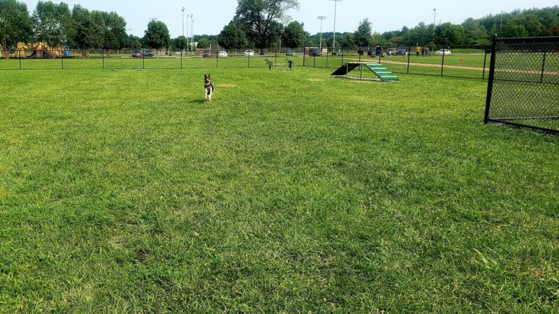 Schutte Park - Dover, DE