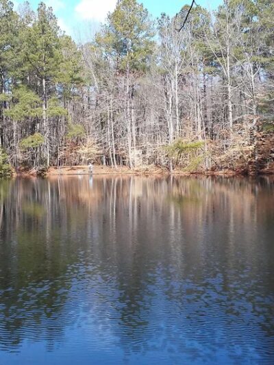 Tidbury Park - Dover, DE