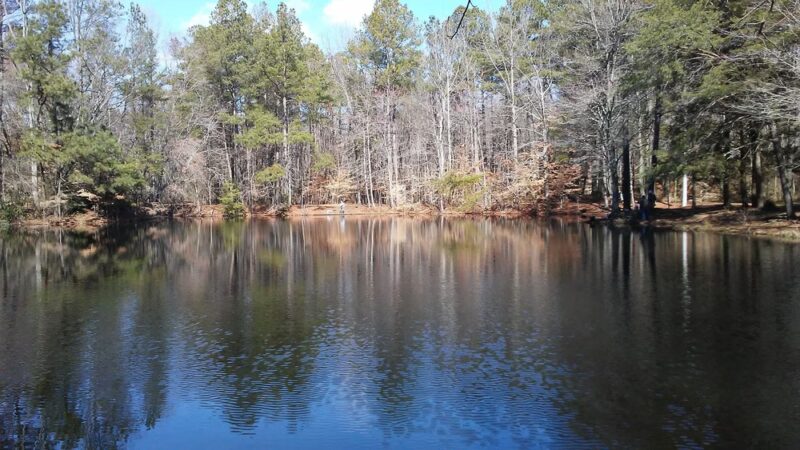 Tidbury Park - Dover, DE