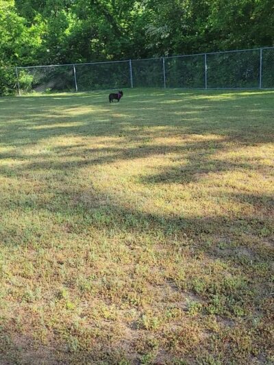 Tidbury Park - Dover, DE