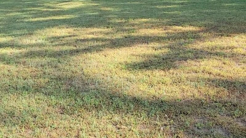 Tidbury Park - Dover, DE