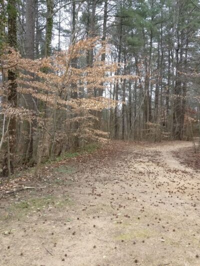 Tidbury Park - Dover, DE