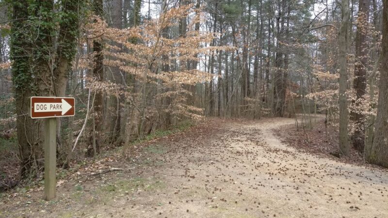 Tidbury Park - Dover, DE