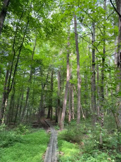 Chase Woodlands Parking Area - Dover, MA