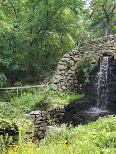 Noanet Woodlands - Dover, MA