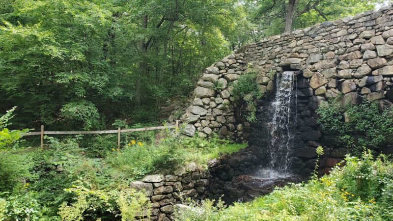 Noanet Woodlands - Dover, MA