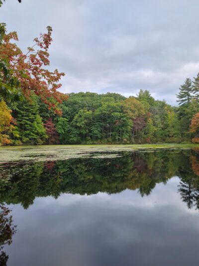 Noanet Woodlands - Dover, MA