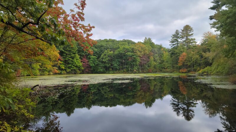 Noanet Woodlands - Dover, MA