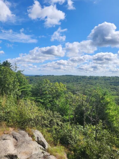 Noanet Woodlands - Dover, MA