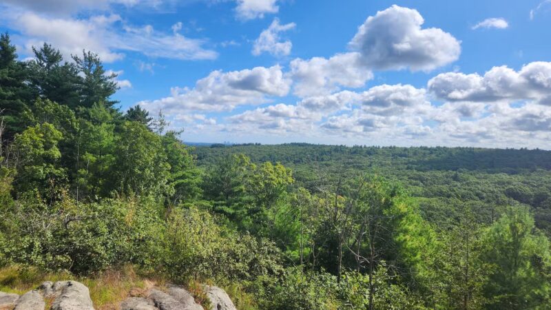 Noanet Woodlands - Dover, MA