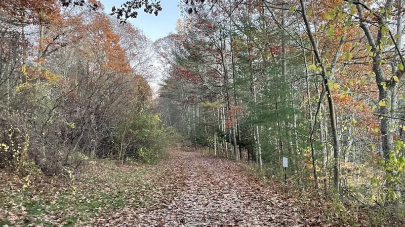 Dover Community Trail - Watson Road Trailhead - Dover, NH