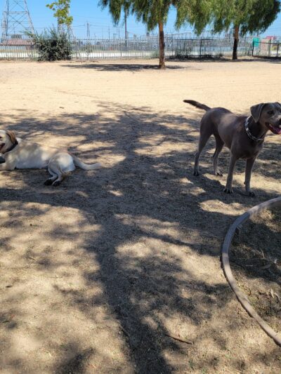 Rio San Gabriel Park - Downey, CA