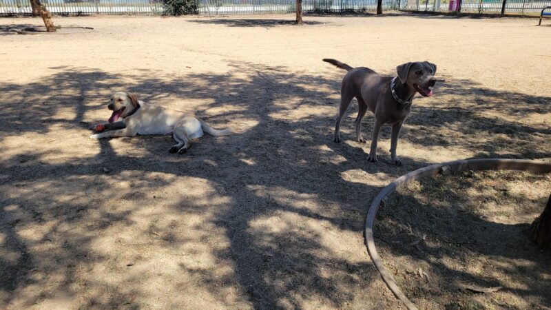 Rio San Gabriel Park - Downey, CA
