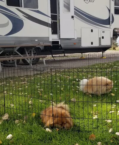 Downey City RV Park - Downey, ID