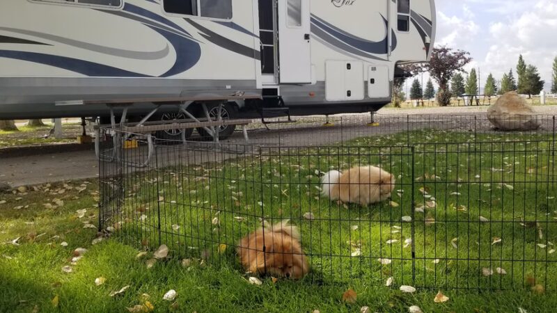 Downey City RV Park - Downey, ID